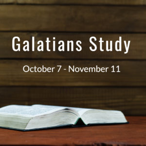 Bible Study