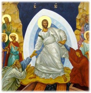ES Website
