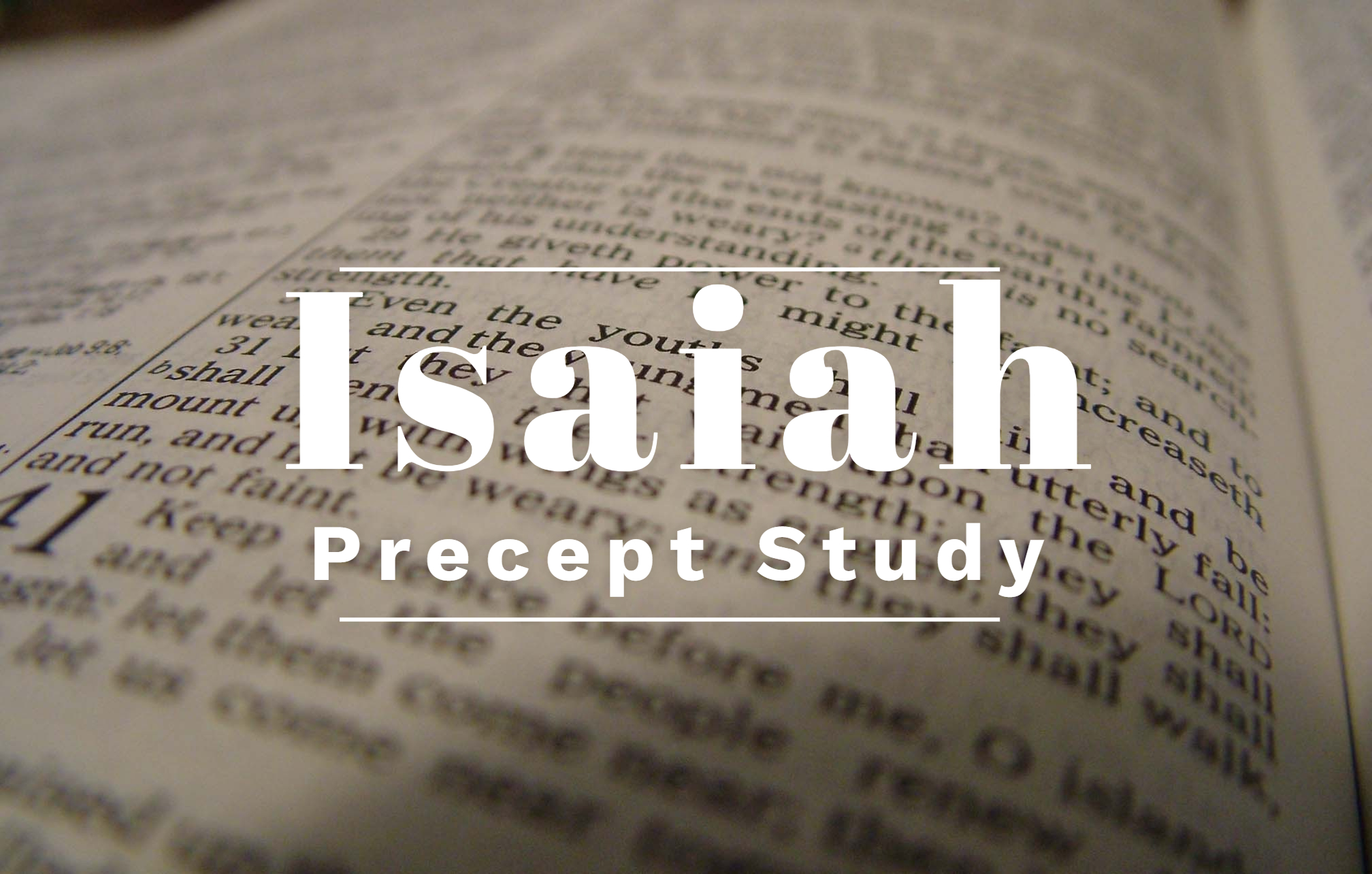 Bible Study (2)